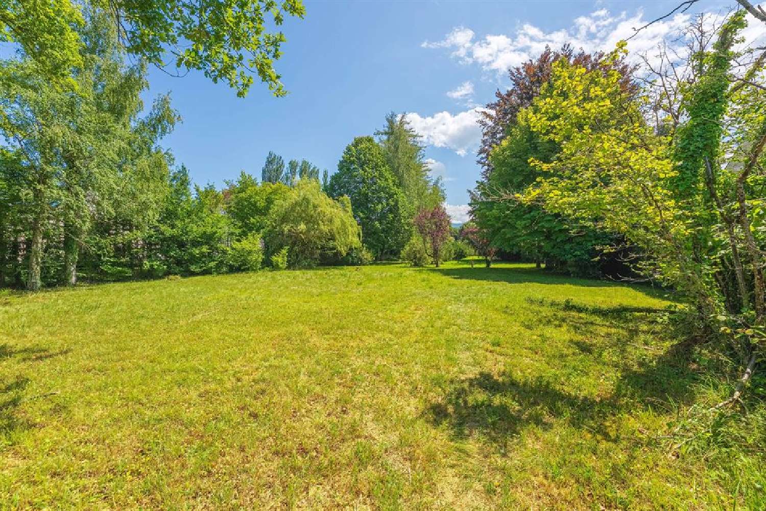 for sale terrain Sciez Haute-Savoie 5