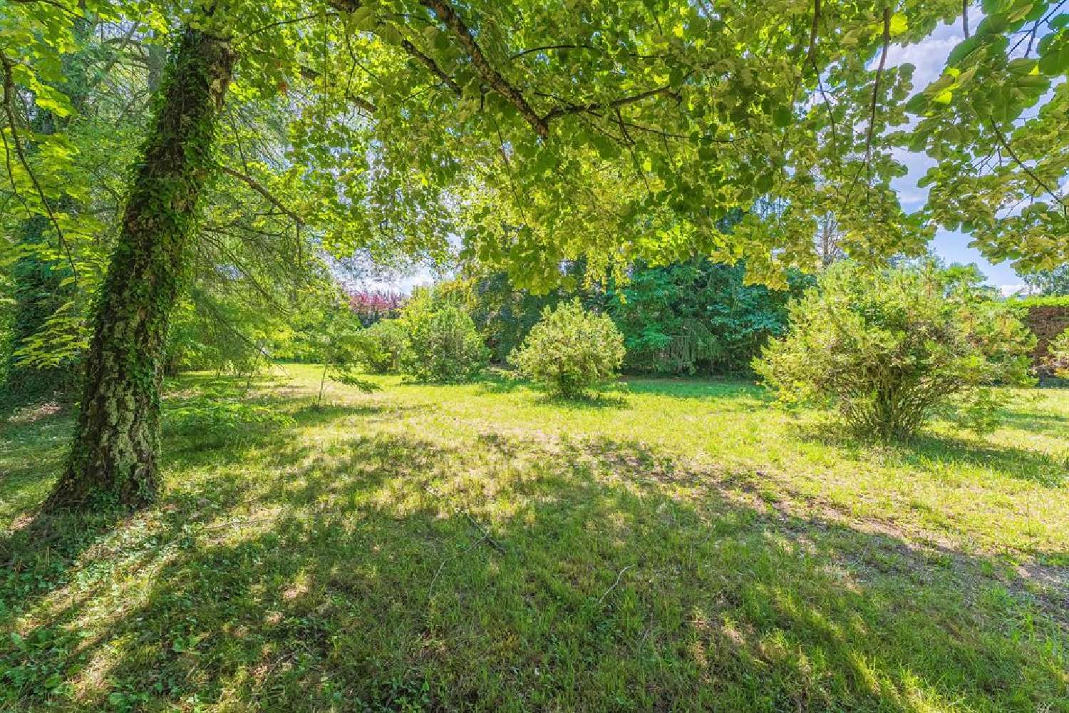 for sale terrain Sciez Haute-Savoie 7