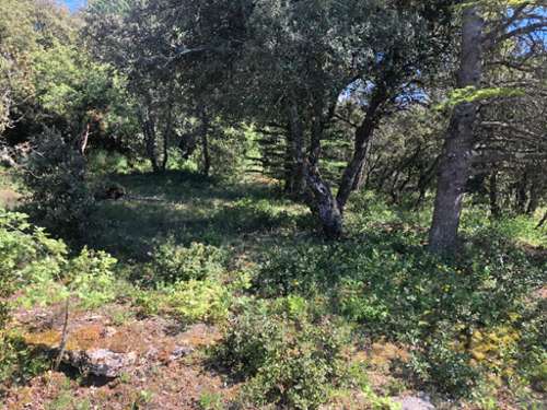 Simiane-la-Rotonde Alpes-de-Haute-Provence Grundstück Bild 7416512