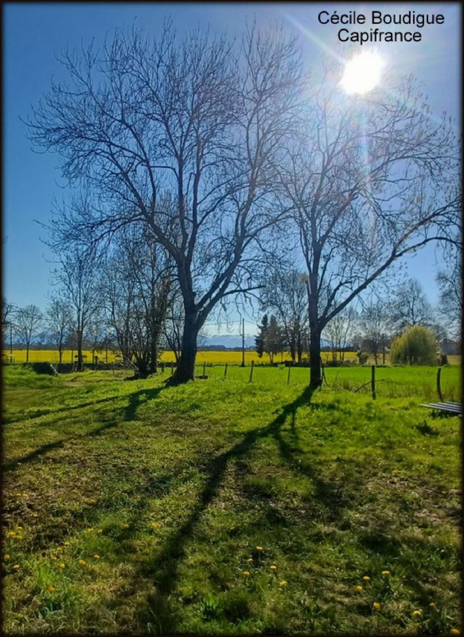  en venta terreno Soumoulou Pirineos Atlánticos 2