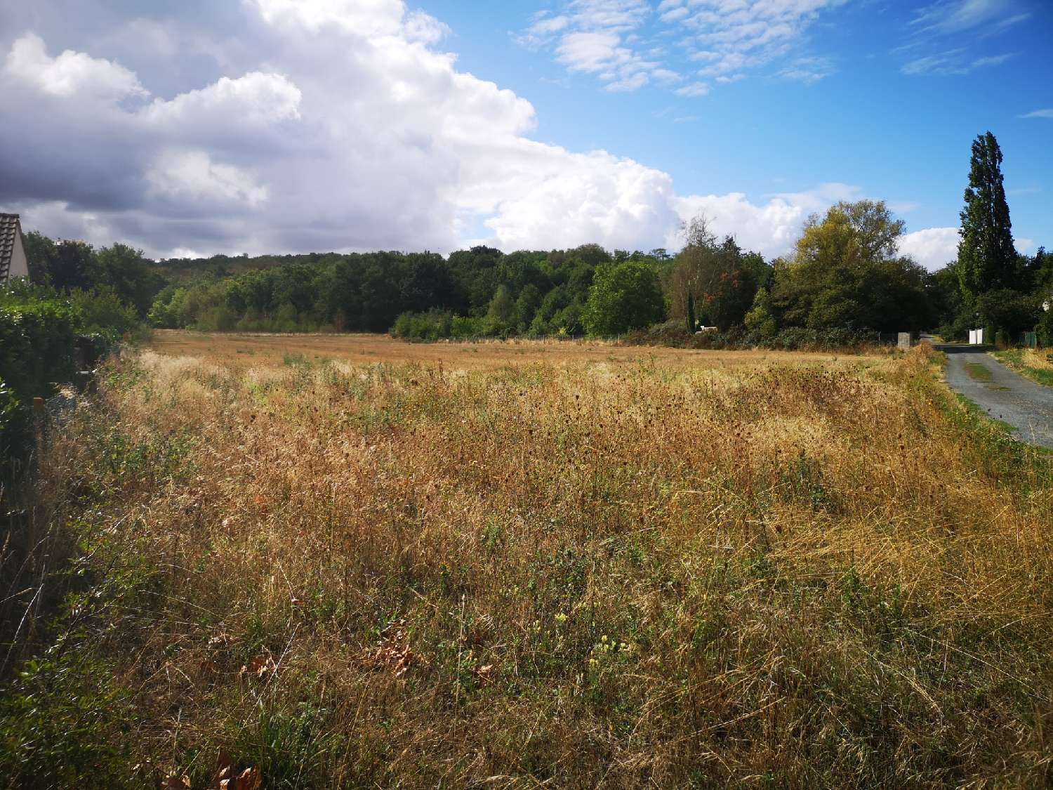 à vendre terrain Vayres-sur-Essonne Essonne 4