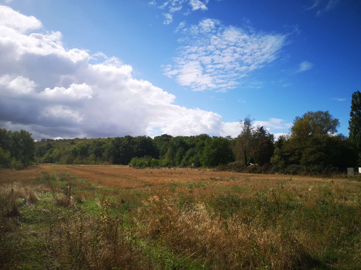 à vendre terrain Vayres-sur-Essonne Essonne 5