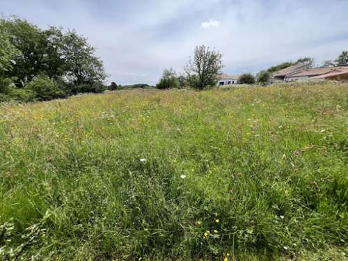 Vertou Loire-Atlantique terrein foto 7402079