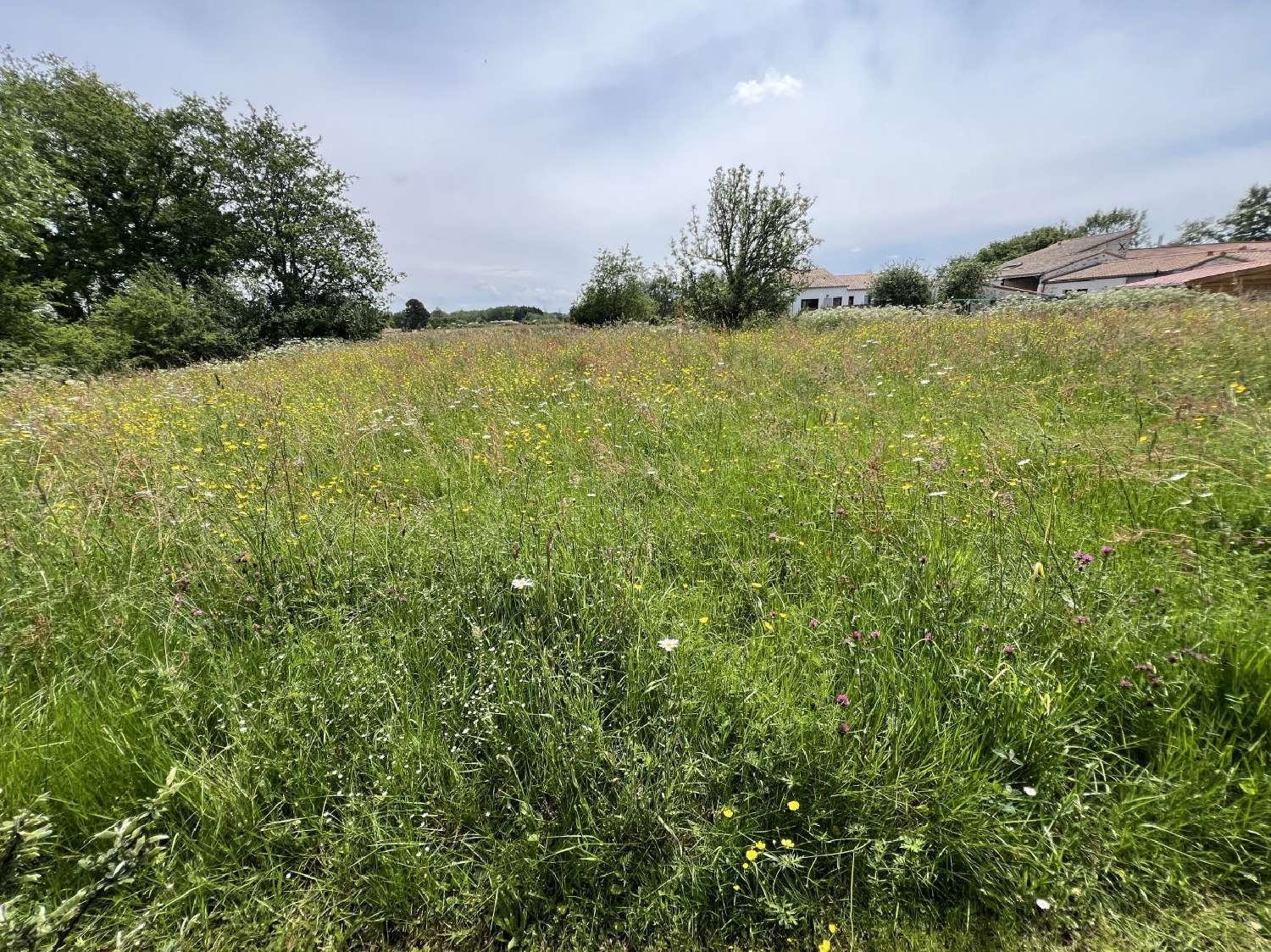 te koop terrein Vertou Loire-Atlantique 1