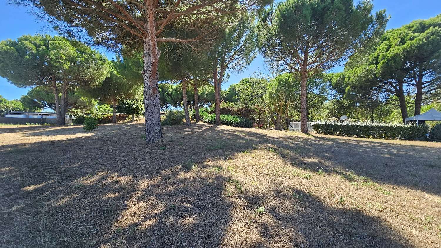 te koop terrein Vias Hérault 2