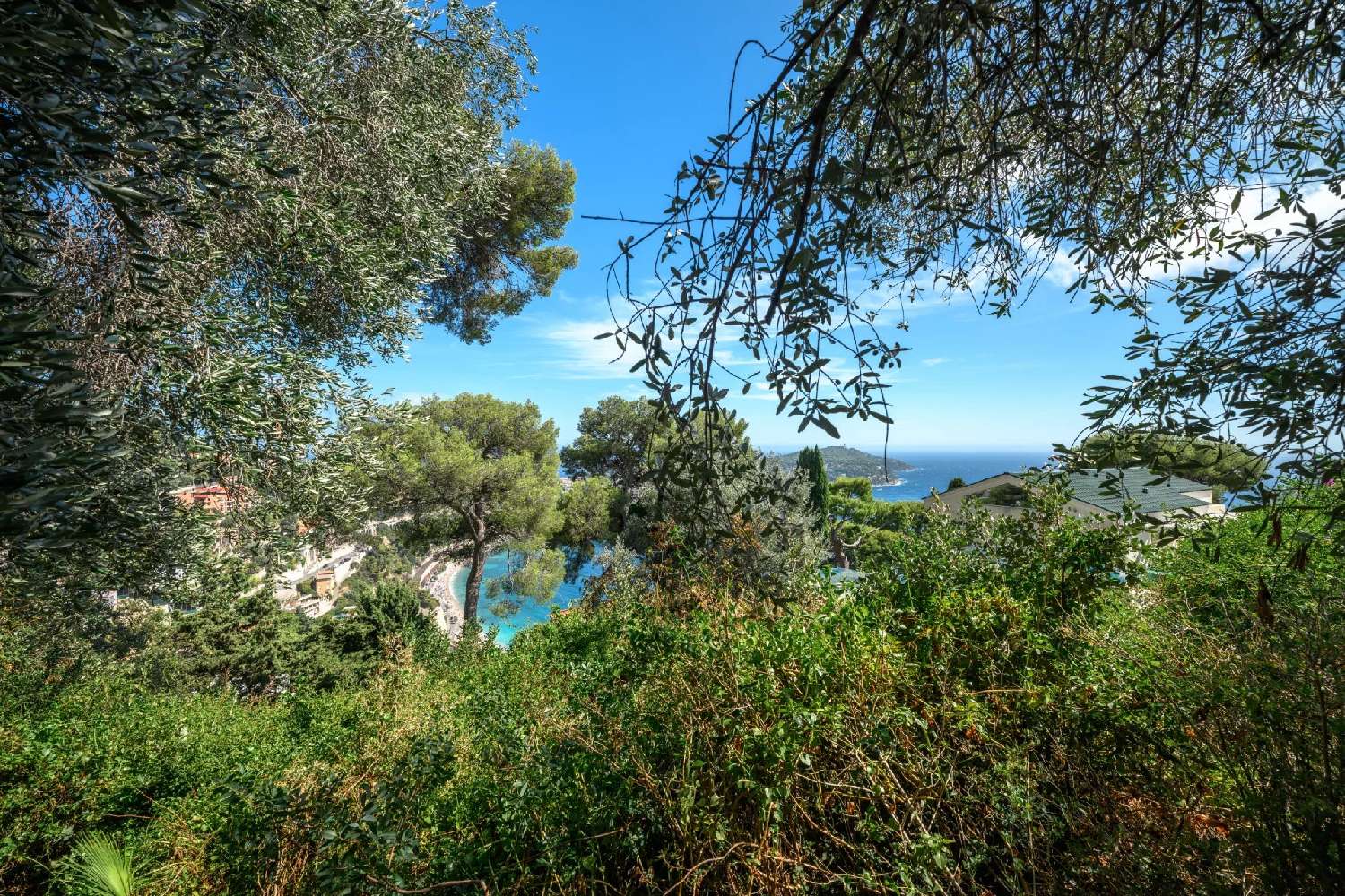  for sale terrain Villefranche-sur-Mer Alpes-Maritimes 2