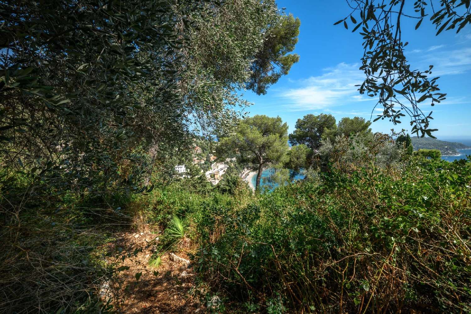  for sale terrain Villefranche-sur-Mer Alpes-Maritimes 3