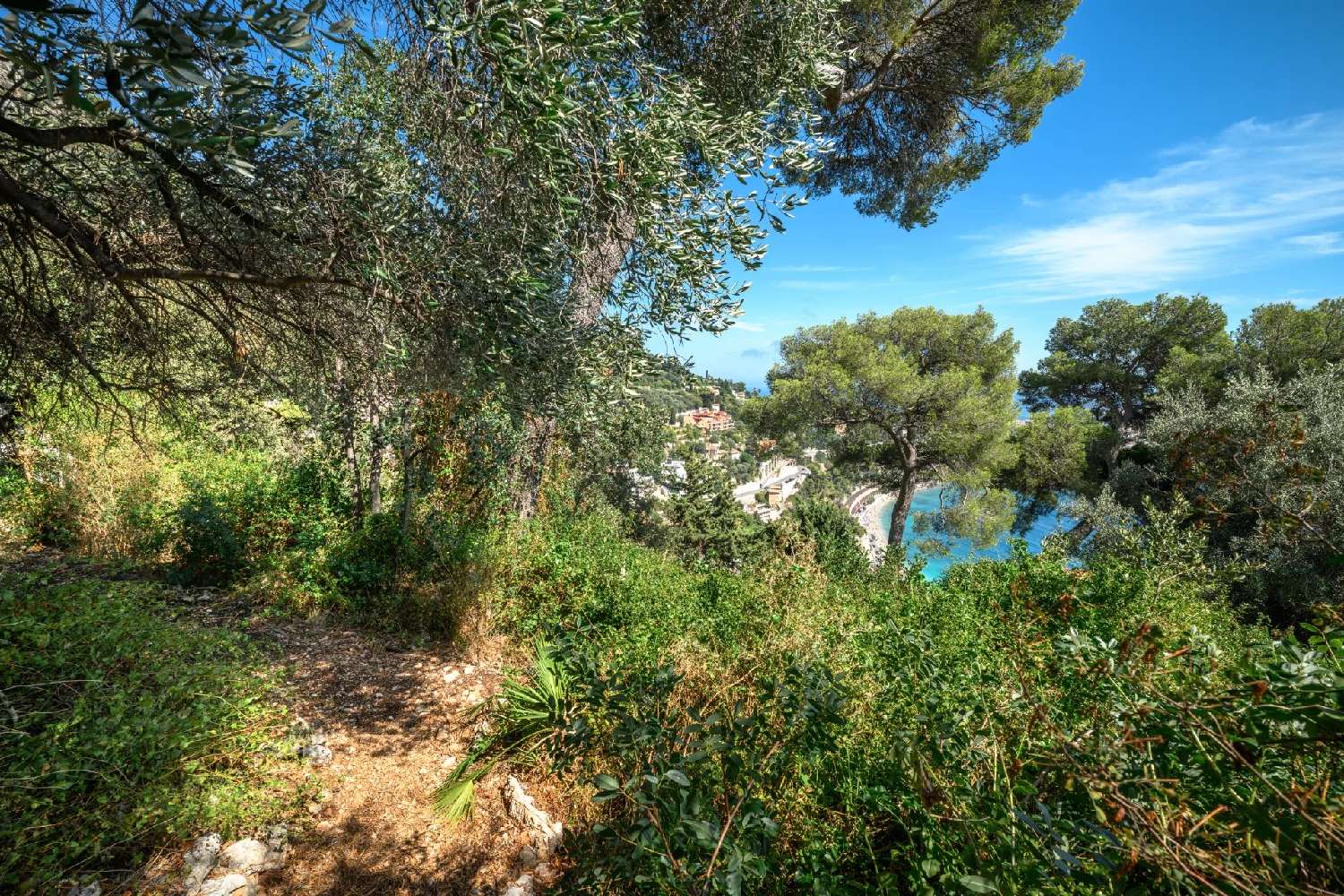  for sale terrain Villefranche-sur-Mer Alpes-Maritimes 7