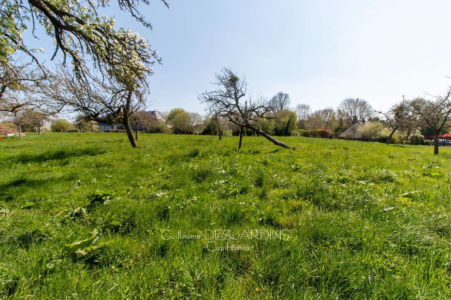 à vendre terrain Vimoutiers Orne 2