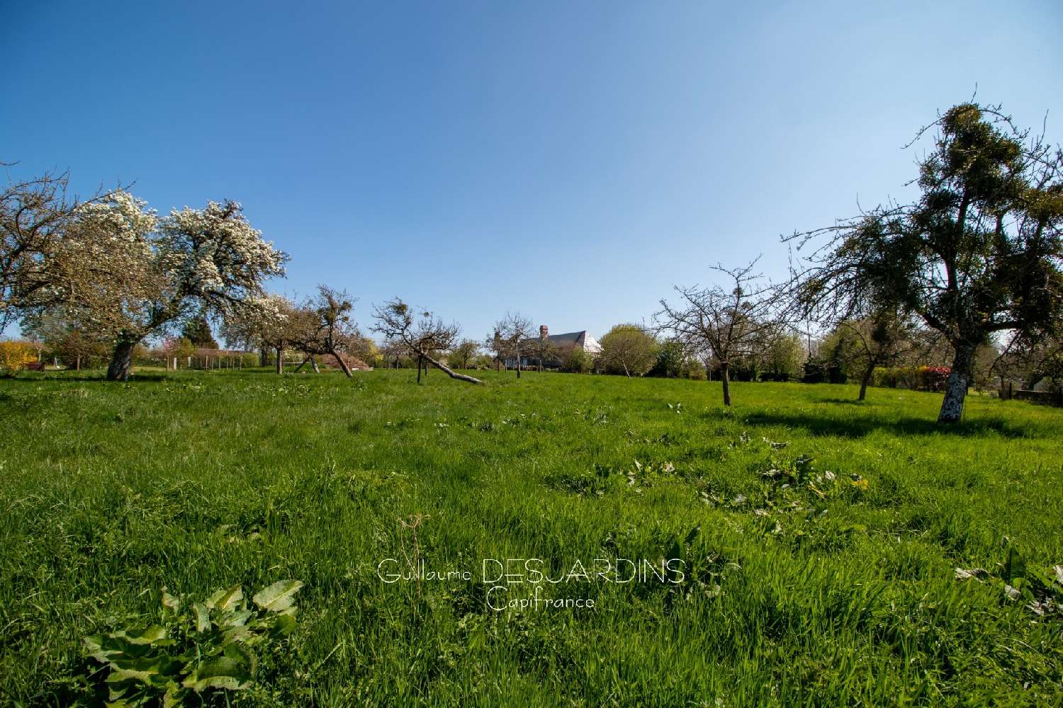 à vendre terrain Vimoutiers Orne 3