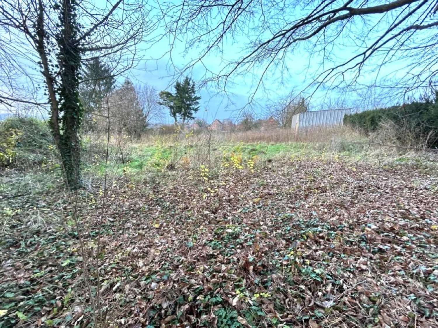  for sale terrain Wargnies-le-Grand Nord 3