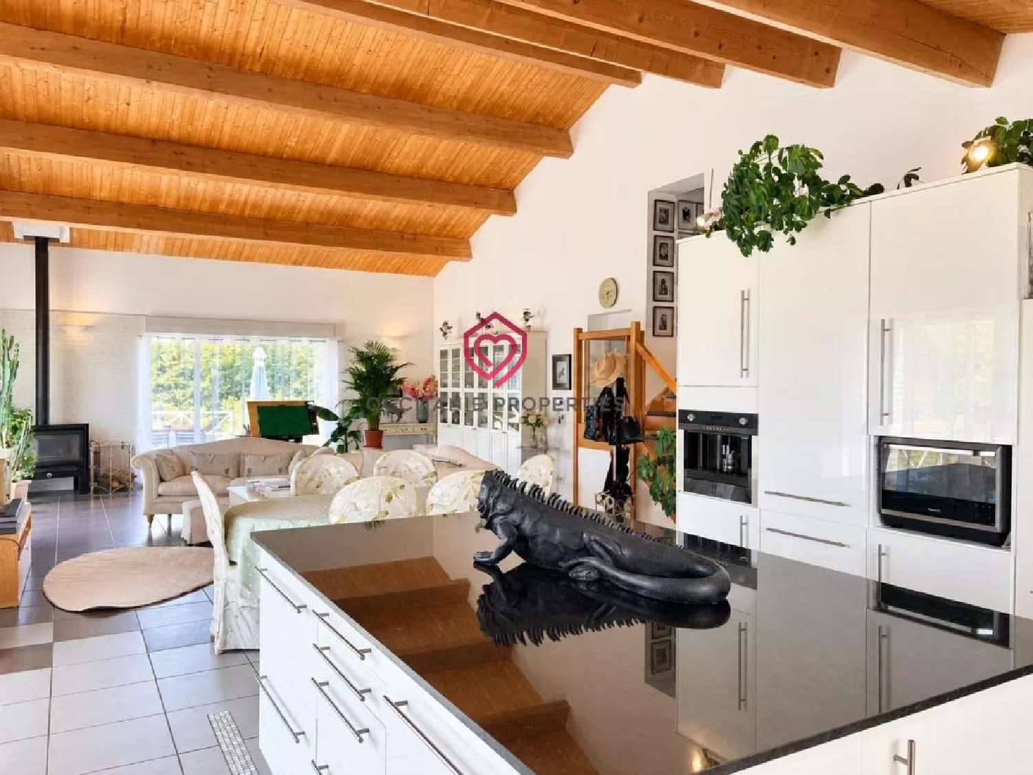 te koop villa Belvèze-du-Razès Aude 3