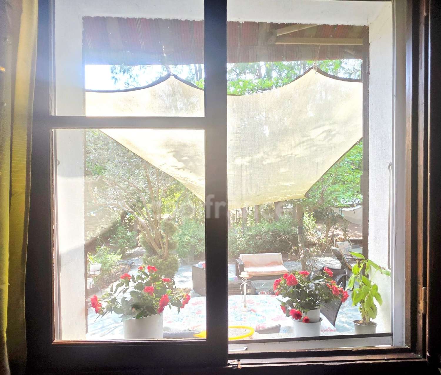 kaufen Villa Biguglia Haute-Corse 8
