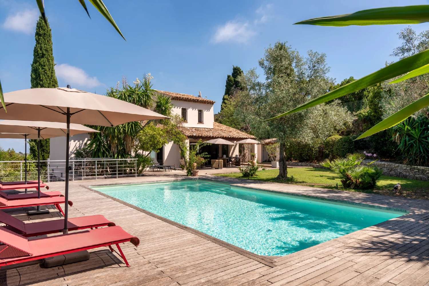 en venta villa Cannes Alpes-Maritimes 1