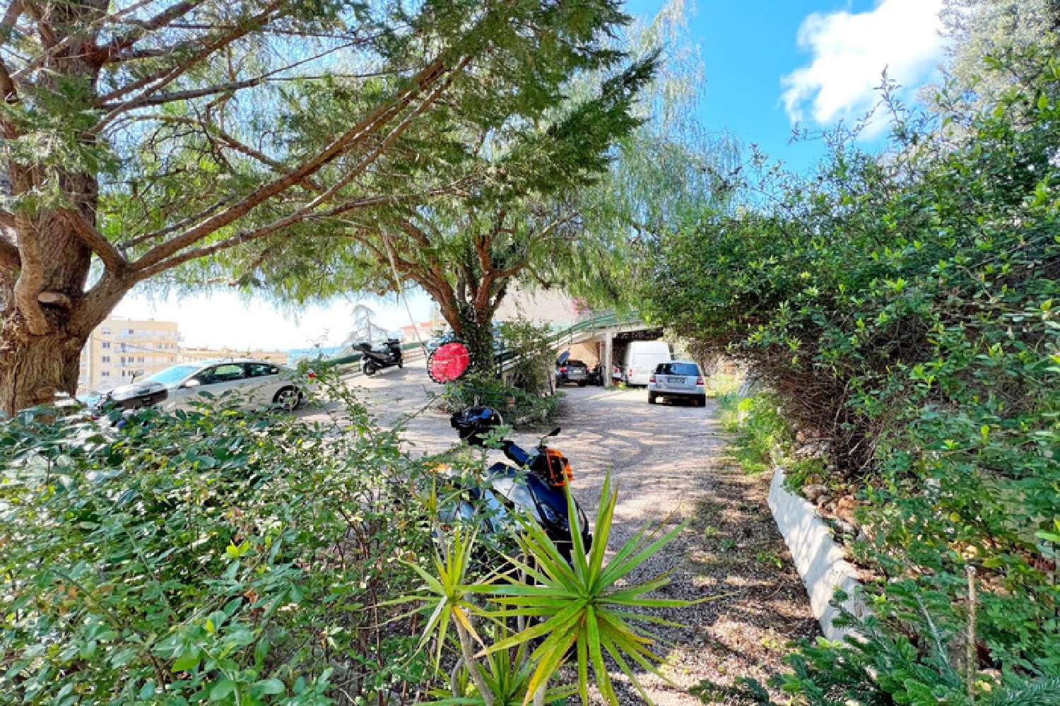 for sale villa Cap-d'Ail Alpes-Maritimes 6
