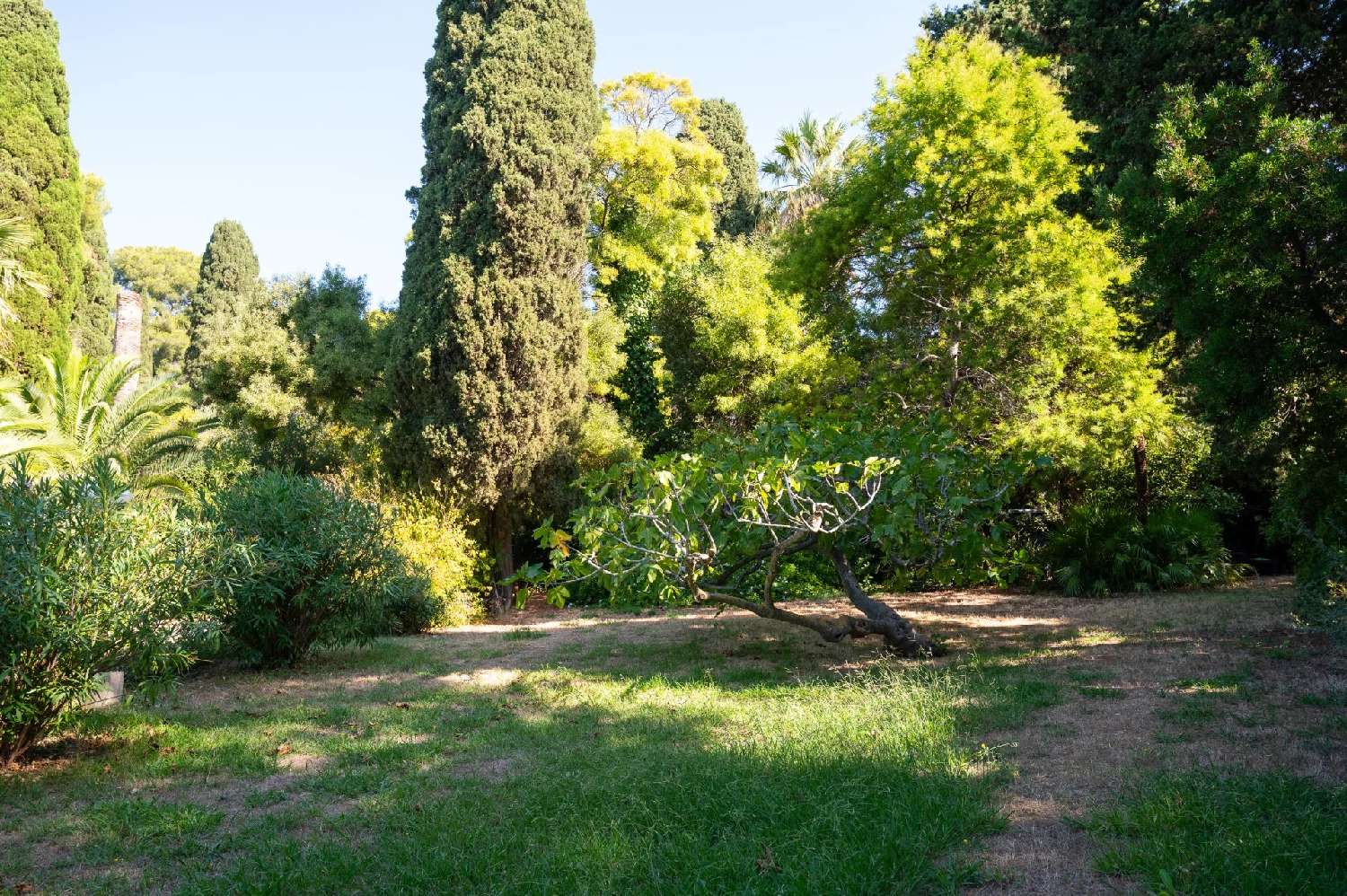 for sale villa Carqueiranne Var 6