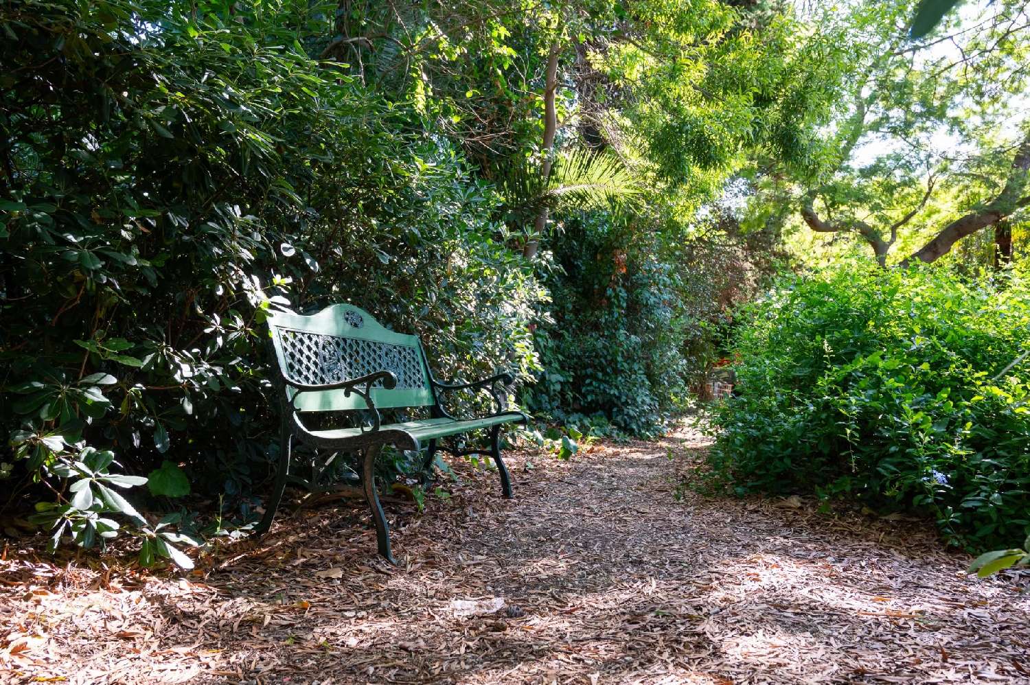 for sale villa Carqueiranne Var 8