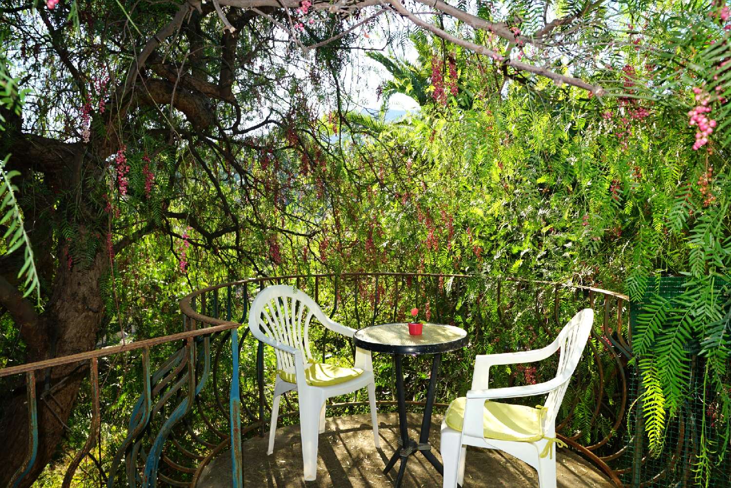 for sale villa Cavalaire-sur-Mer Var 4