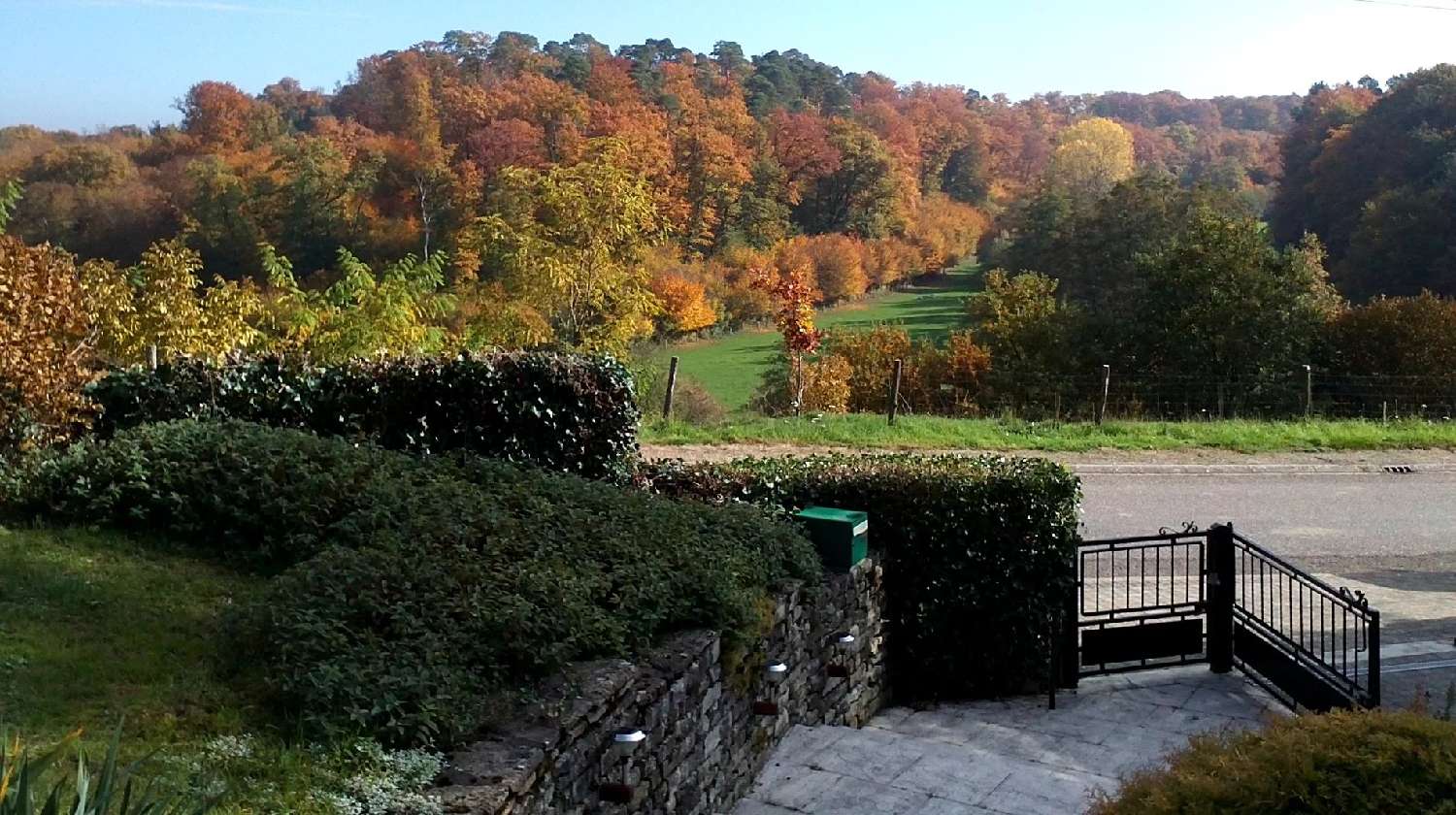  for sale villa Châtillon-sur-Saône Vosges 8
