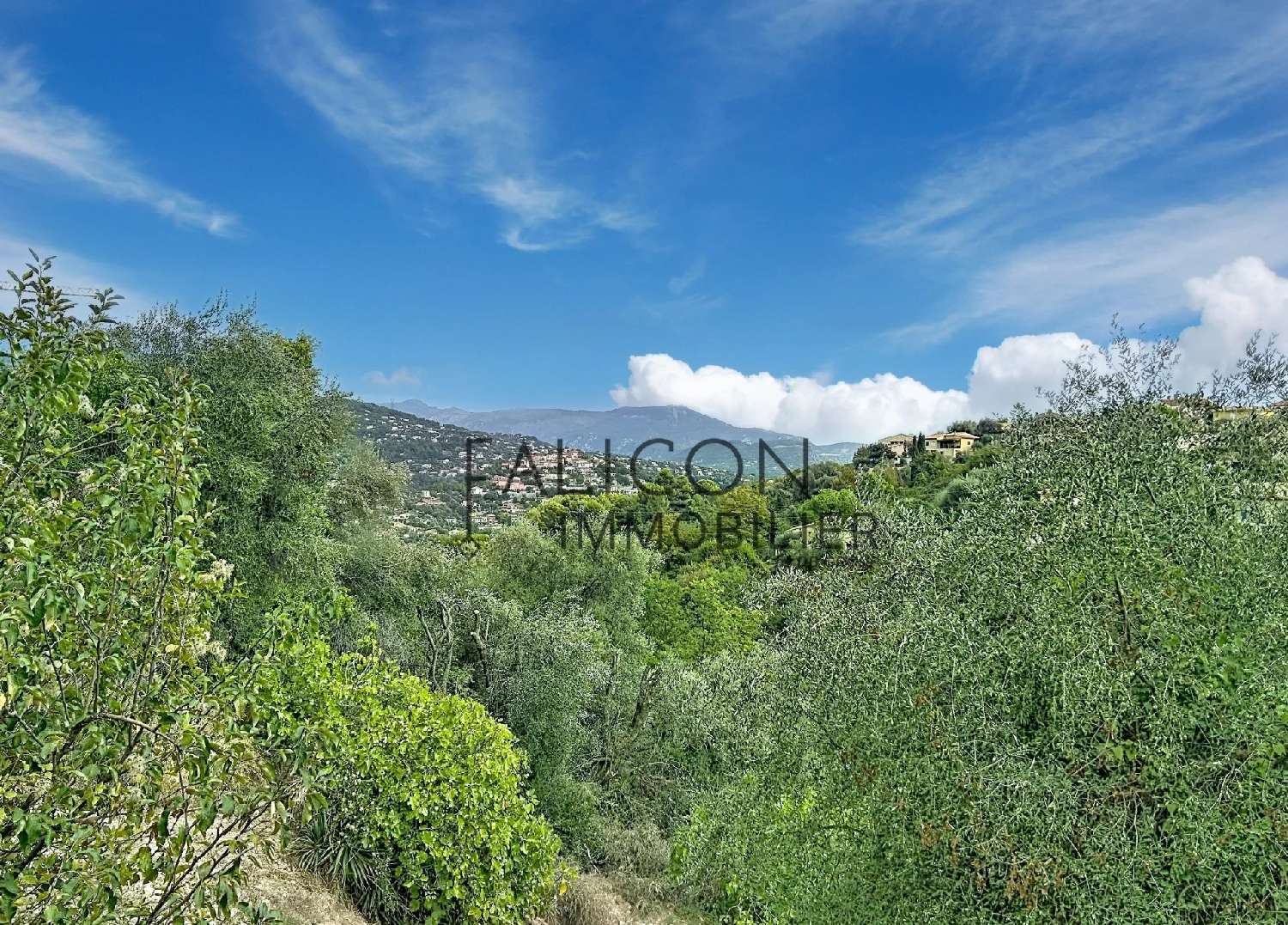  te koop villa Falicon Alpes-Maritimes 2
