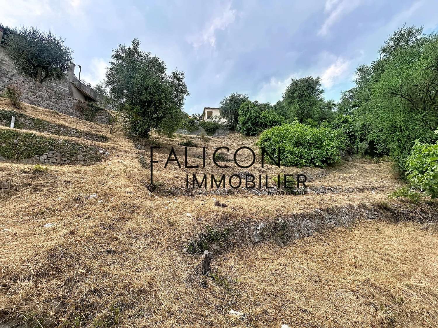  te koop villa Falicon Alpes-Maritimes 5