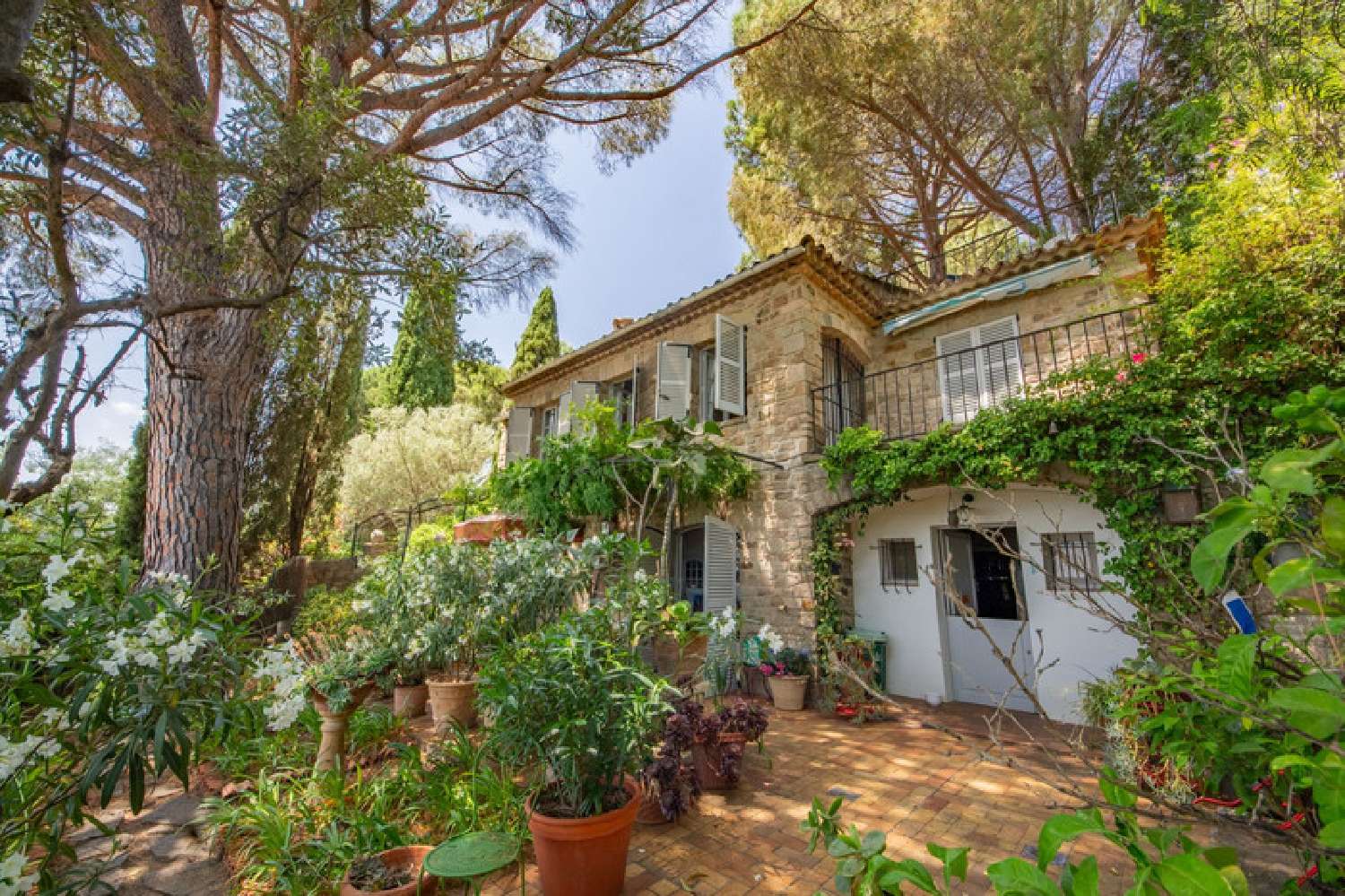  en venta villa Grimaud Var 3