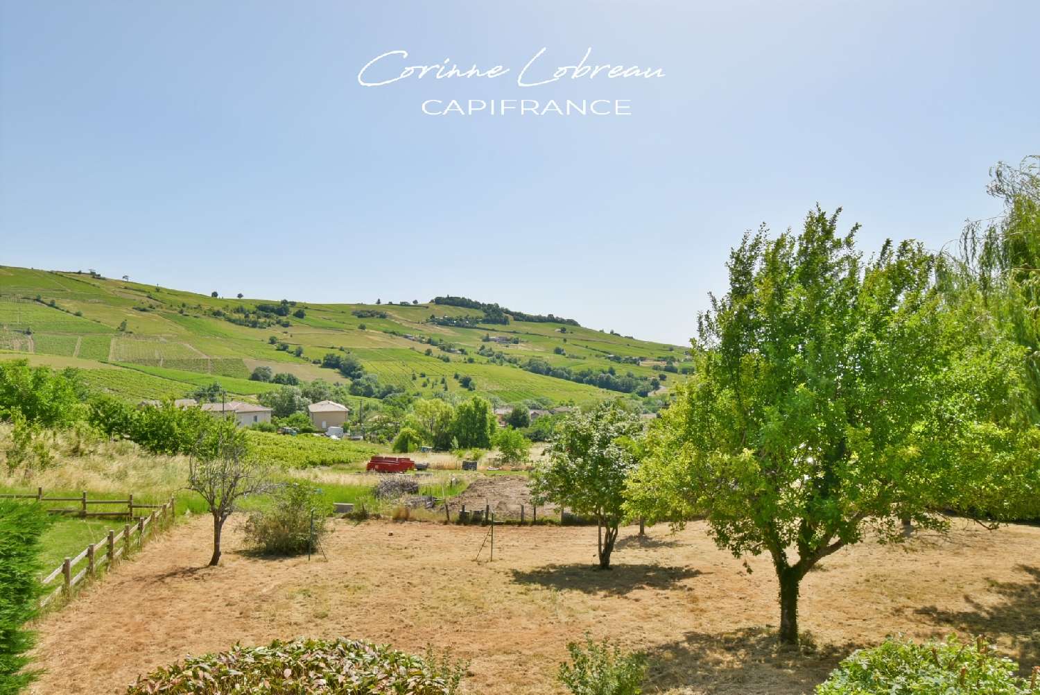  te koop villa Juliénas Rhône 5