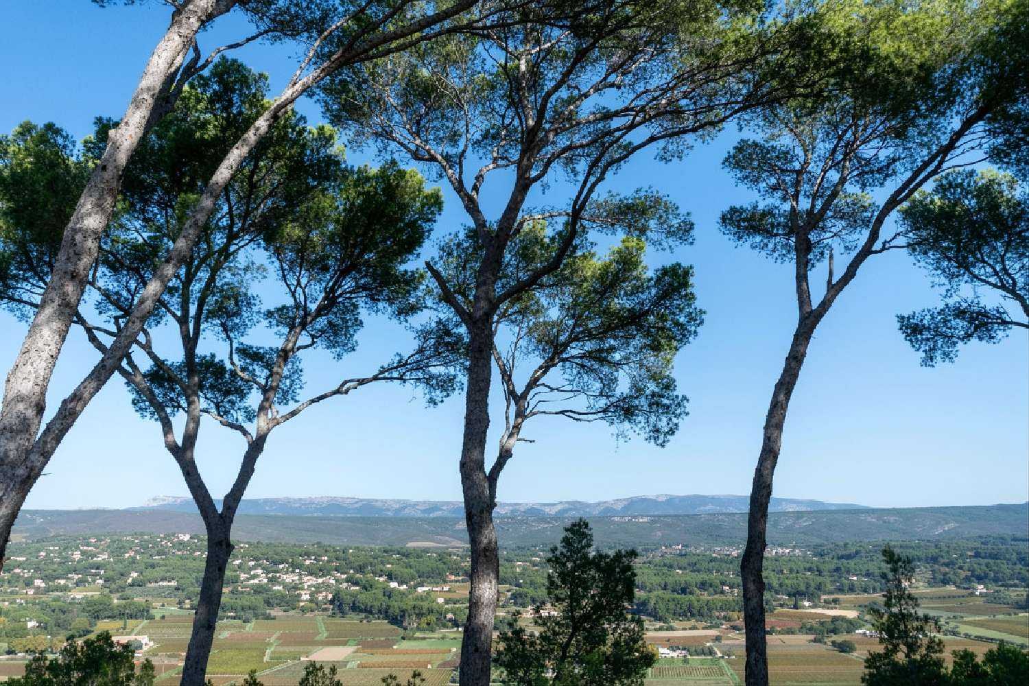 en venta villa La Cadière-d'Azur Var 3