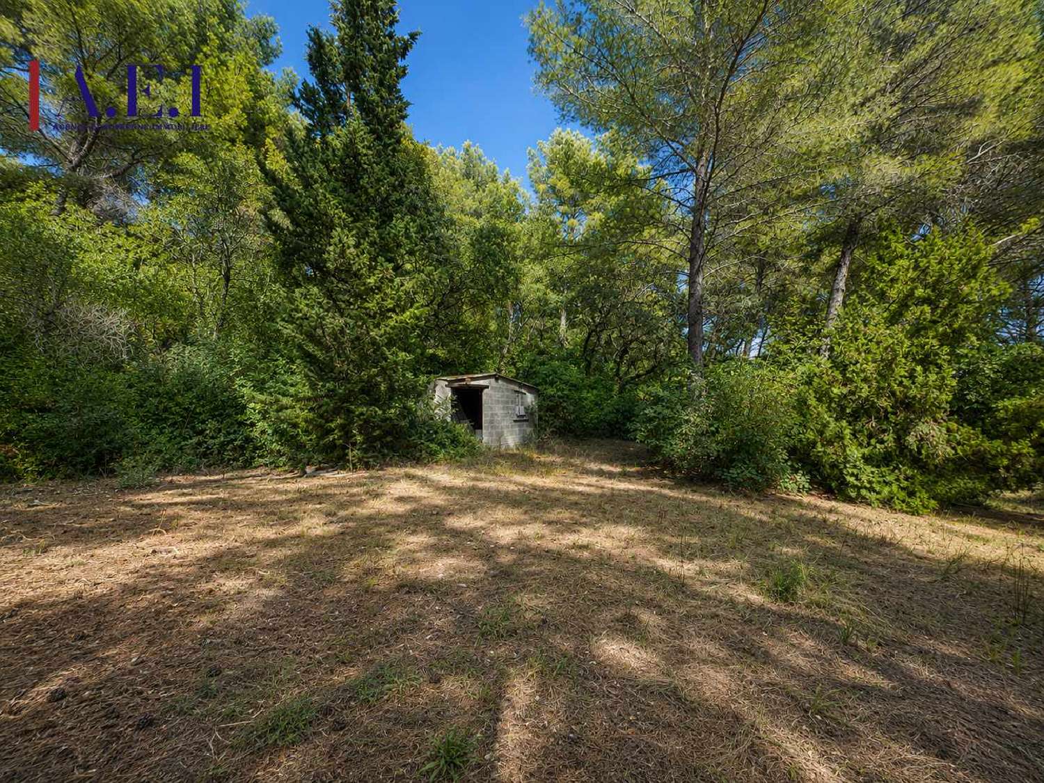 à vendre villa Le Brusc Var 5