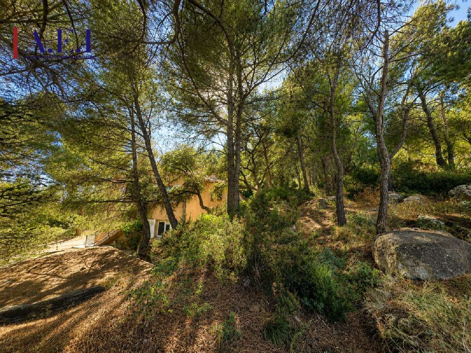à vendre villa Le Brusc Var 6