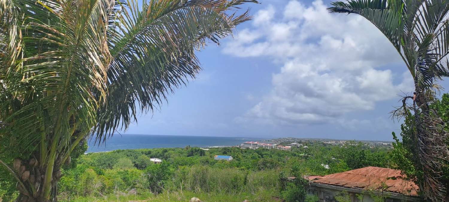 kaufen Villa Le Moule Guadeloupe 4