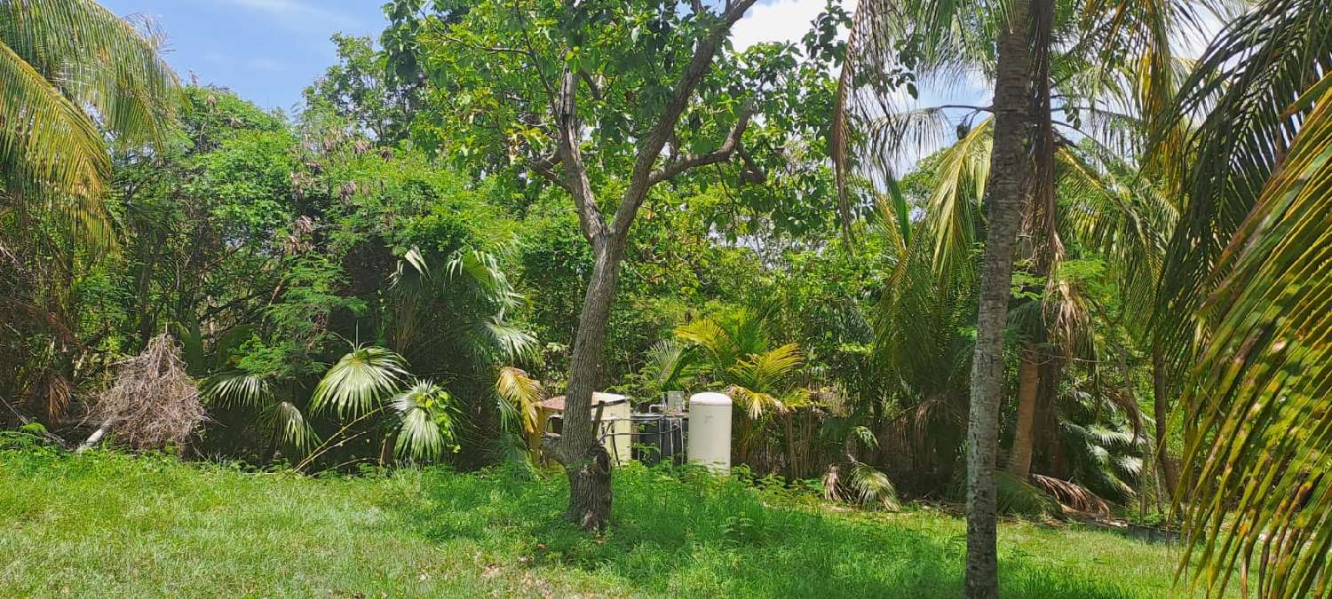kaufen Villa Le Moule Guadeloupe 5