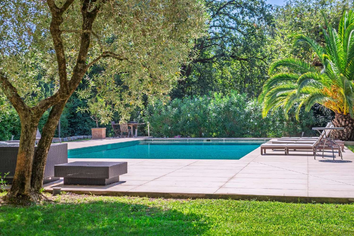 for sale villa Roquefort-les-pins Alpes-Maritimes 7