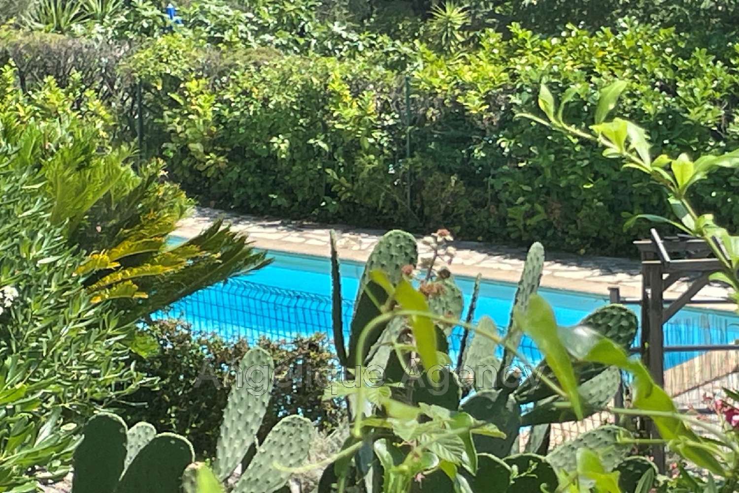 en venta villa Roquefort-les-pins Alpes-Maritimes 1