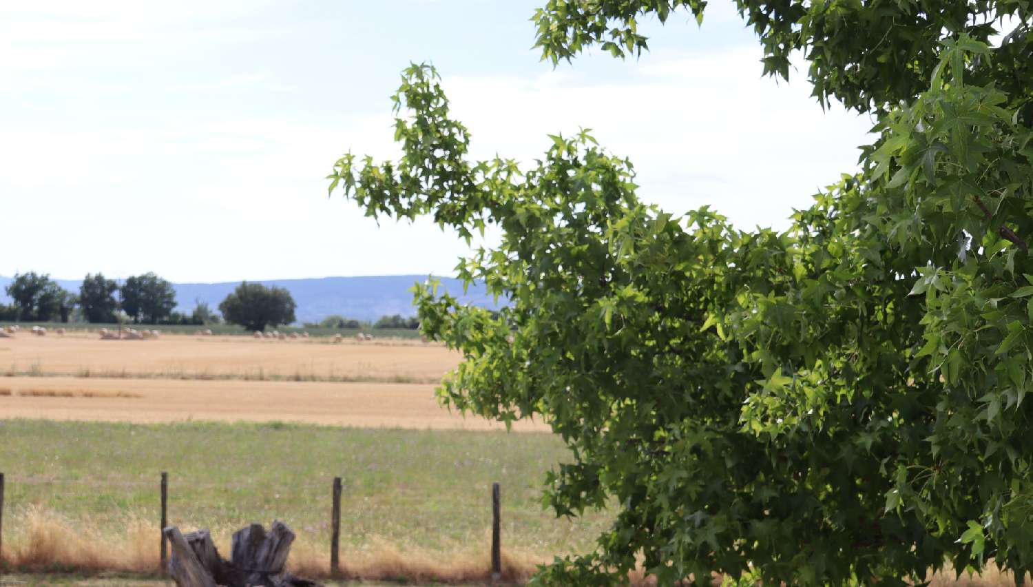 à vendre villa Saint-Bénigne Ain 3