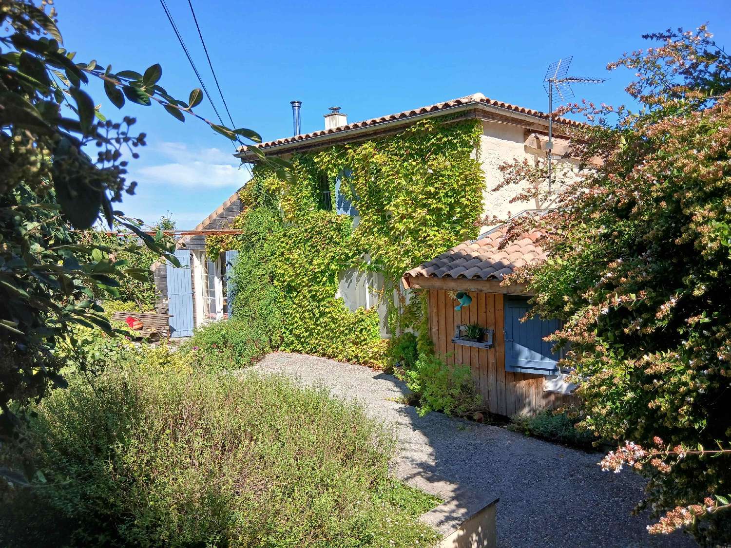  kaufen Villa Saint-Salvy Lot-et-Garonne 4