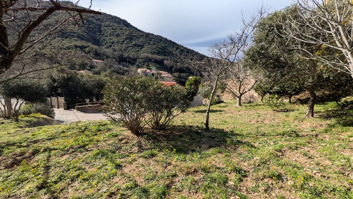 en venta villa Sorède Pirineo Oriental 8