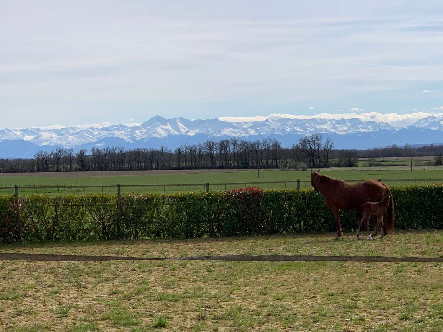  kaufen Villa Tarbes Hautes-Pyrénées 4