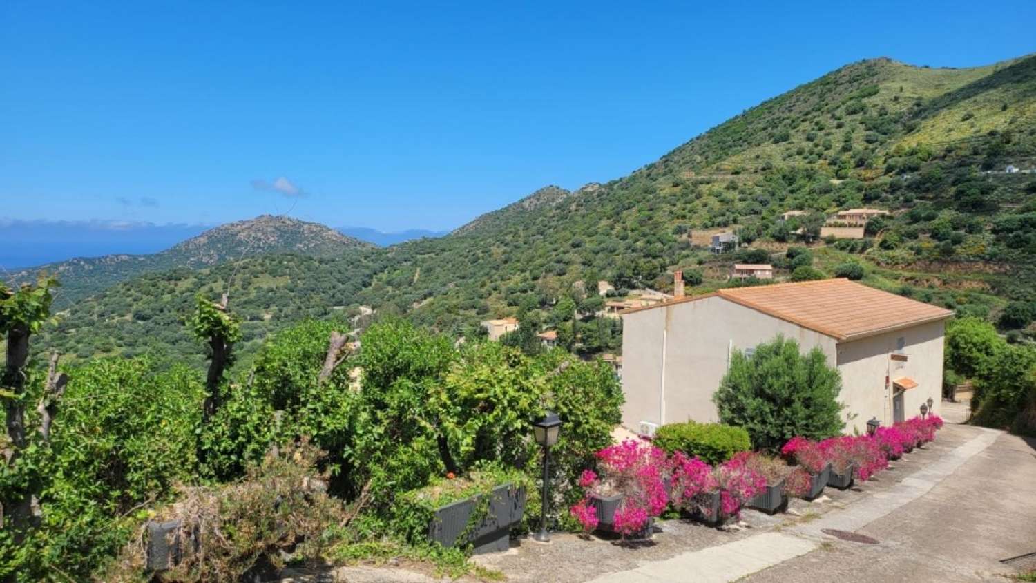 kaufen Dorfhaus Belgodère Haute-Corse 2