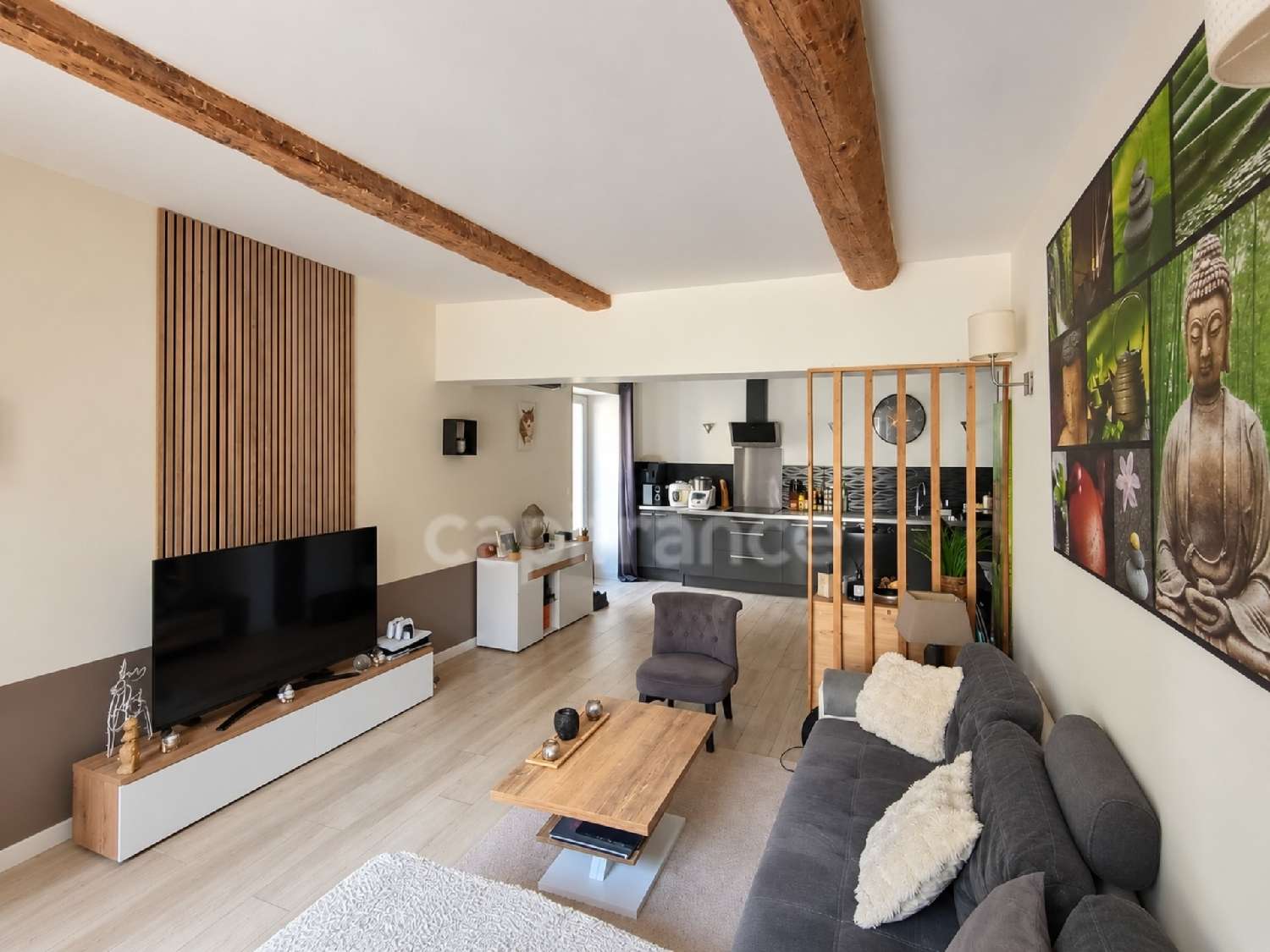 te koop dorpshuis Cazouls-d'Hérault Hérault 2