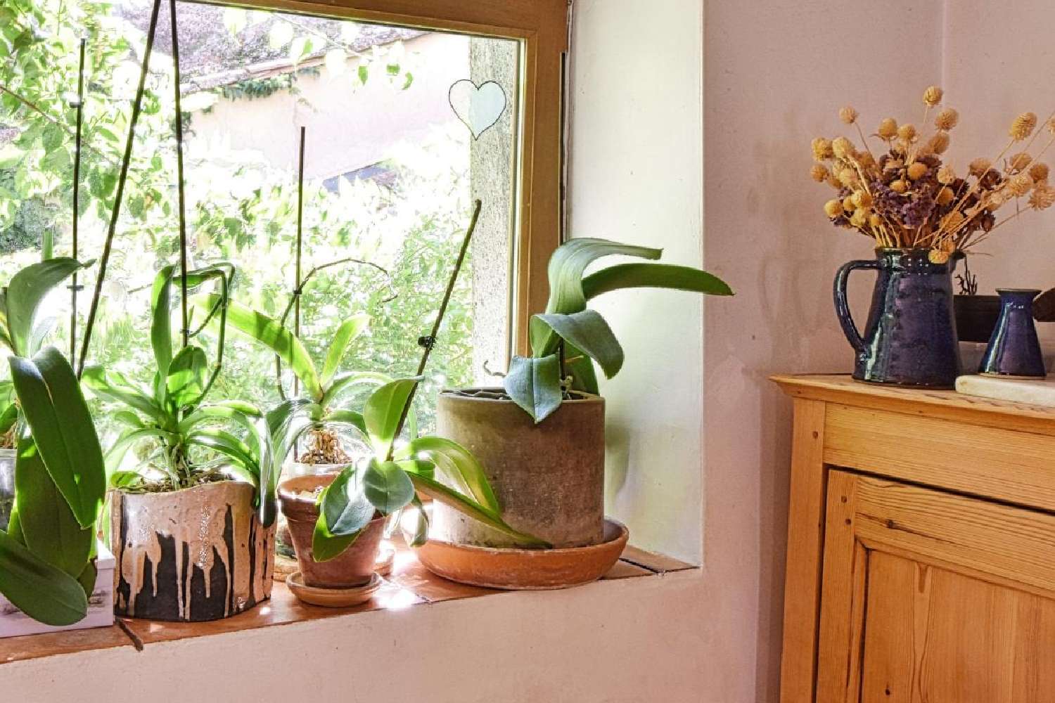kaufen Dorfhaus Clermont-l'Hérault Hérault 3