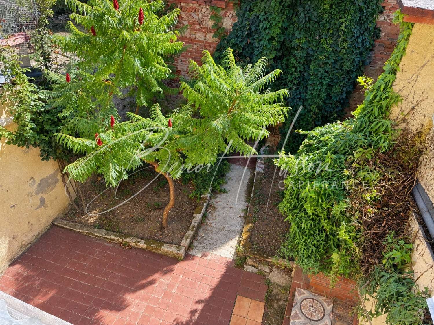 en venta casa de pueblo Gaillac-Toulza Haute-Garonne 2