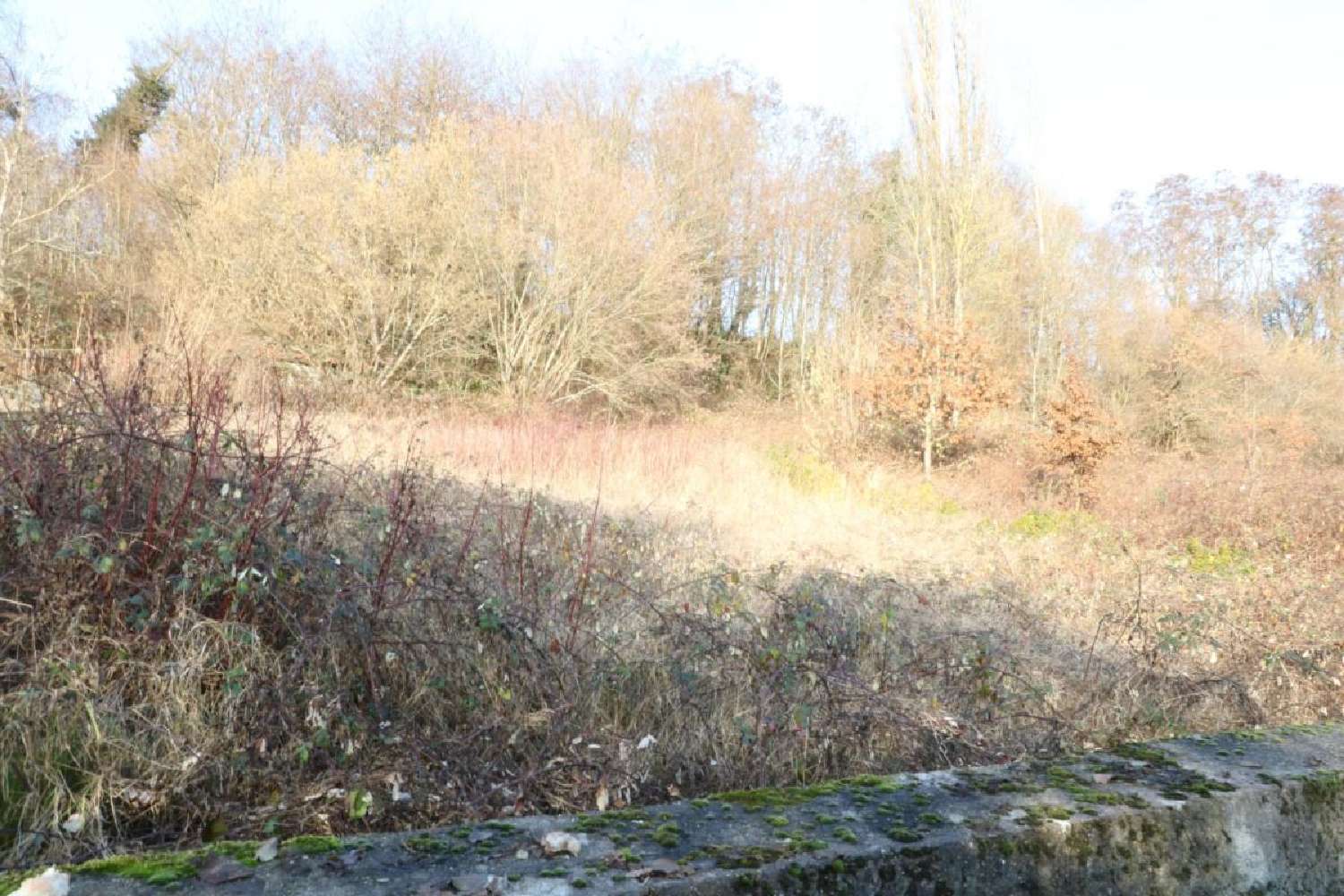 à vendre maison de village Kédange-sur-Canner Moselle 7