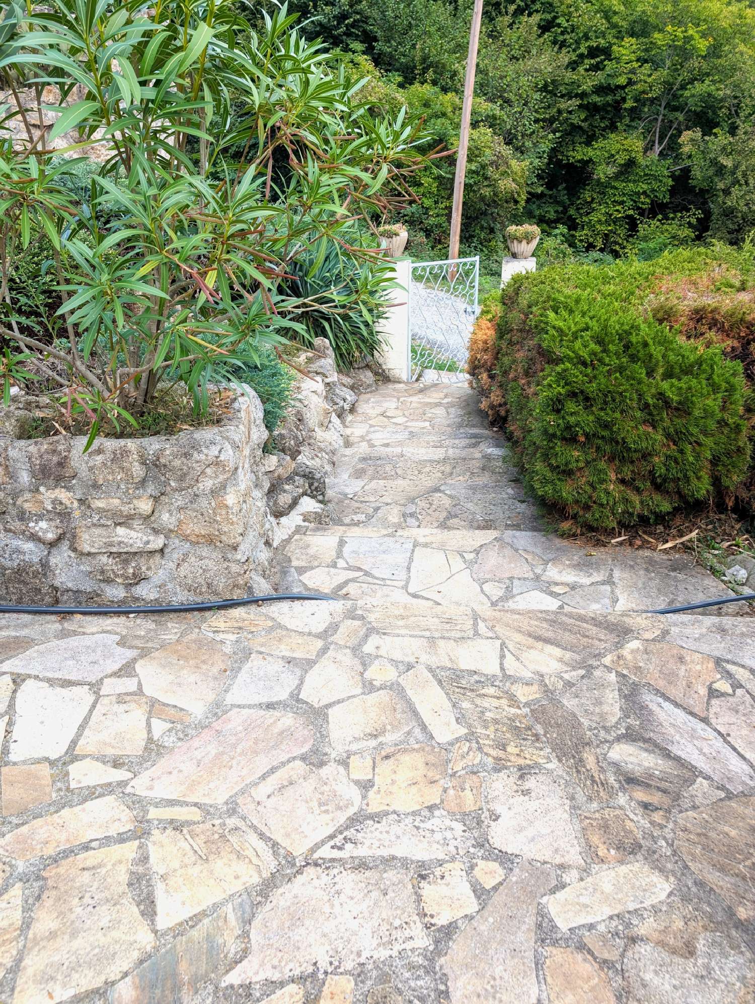 for sale village house Montpezat-sous-Bauzon Ardèche 6