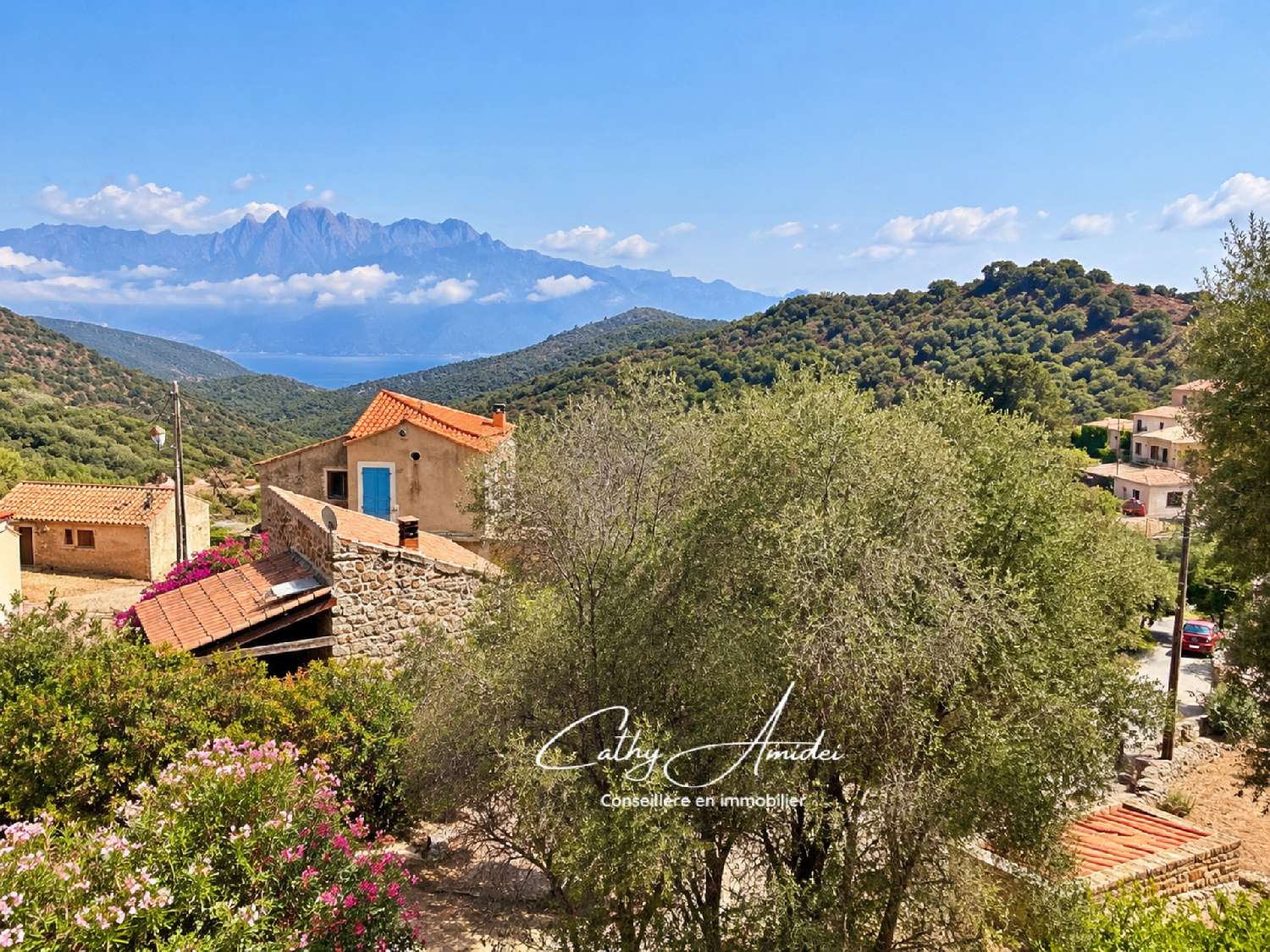 kaufen Dorfhaus Osani Corse-du-Sud 2