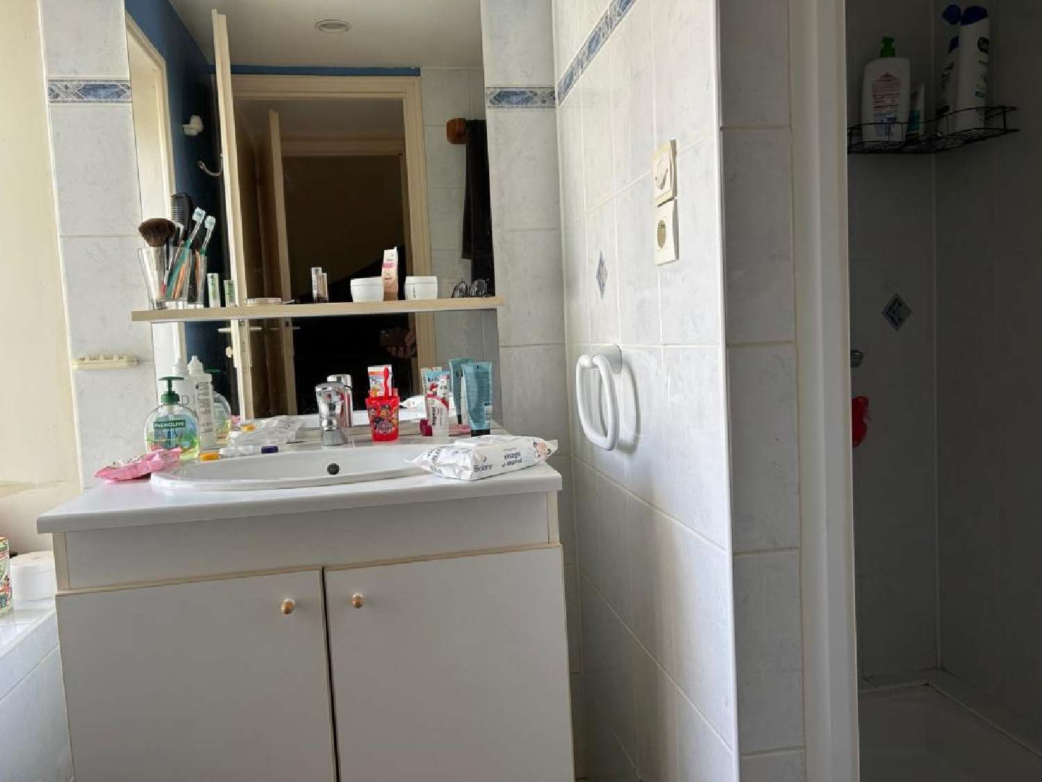 kaufen Dorfhaus Reffannes Deux-Sèvres 8