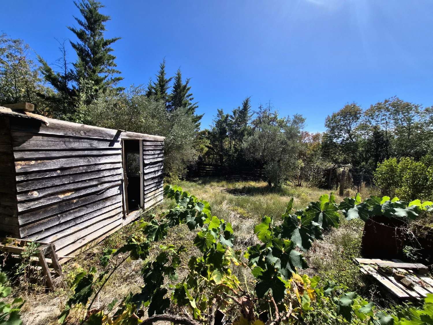à vendre maison de village Rousson Gard 6