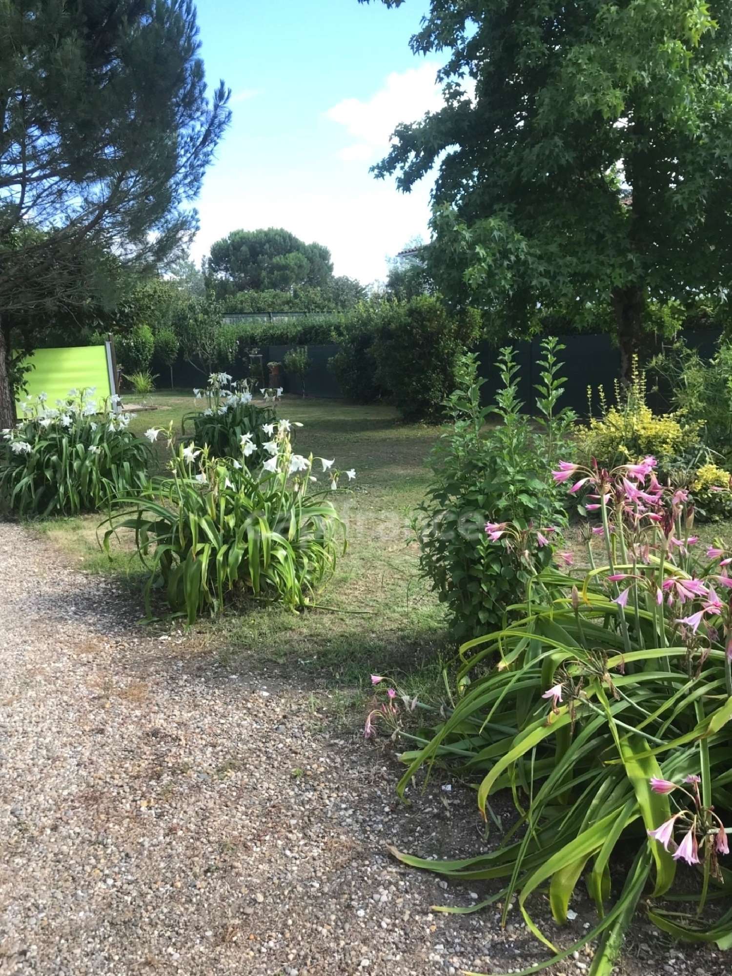 en venta casa de pueblo Saint-Pierre-d'Eyraud Dordoña 4